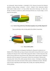 Įmonės konkurencingumas 20 puslapis