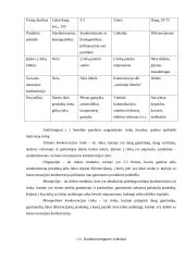 Įmonės konkurencingumas 4 puslapis