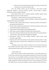 Įmonės konkurencingumas 6 puslapis