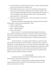 Įmonės konkurencingumas 8 puslapis