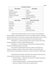 Įmonės konkurencingumas 9 puslapis