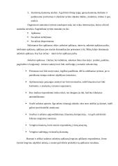 Įmonės konkurencingumas 10 puslapis