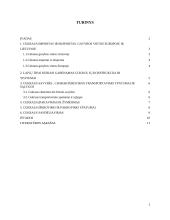  Cukrus, jo transportavimas, savybės 2 puslapis