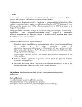  Cukrus, jo transportavimas, savybės 3 puslapis