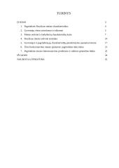 Geografinė Paryžiaus miesto struktūra