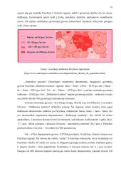 Geografinė Paryžiaus miesto struktūra 15 puslapis