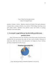 Geografinė Paryžiaus miesto struktūra 17 puslapis