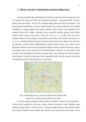 Geografinė Paryžiaus miesto struktūra 6 puslapis