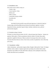 18-to gimtadienio organizavimas 7 puslapis