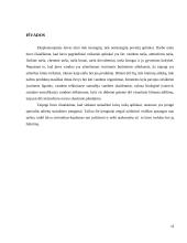 Jūrų transporto poveikis aplinkai 12 puslapis