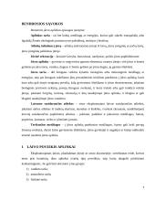 Jūrų transporto poveikis aplinkai 4 puslapis