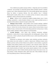 Jūrų transporto poveikis aplinkai 8 puslapis