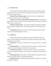 Jūrų transporto poveikis aplinkai 9 puslapis