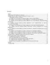 Darbų saugos reikalavimai remontuojant ir dokuojant laivą 2 puslapis