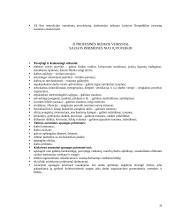 Darbų saugos reikalavimai remontuojant ir dokuojant laivą 20 puslapis