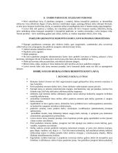 Darbų saugos reikalavimai remontuojant ir dokuojant laivą 7 puslapis