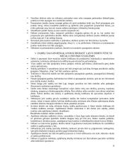 Darbų saugos reikalavimai remontuojant ir dokuojant laivą 10 puslapis