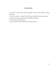 Sinchroniniai varikliai 15 puslapis