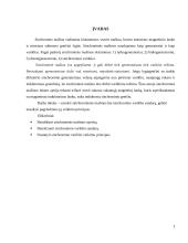 Sinchroniniai varikliai 3 puslapis