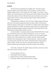 AB "Grigiškės" finansinė analizė 3 puslapis