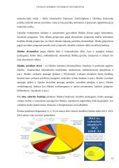 Lietuvos biudžetas 13 puslapis