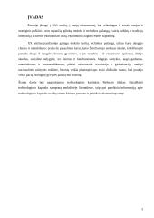 Technologinis kapitalas makroekonomikos referatas 3 puslapis