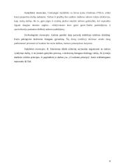 Technologinis kapitalas makroekonomikos referatas 8 puslapis