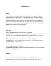 Ar grožinės literatūros kūrinyje atpažįstami autoriaus biografijos faktai padeda suprasti kūrinį ar trukdo? Kalbėjimas 4 puslapis