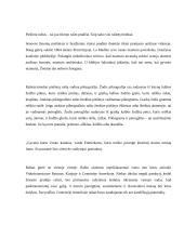 Referatas apie raštą 2 puslapis