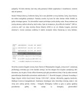 Referatas apie raštą 11 puslapis