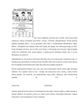 Referatas apie raštą 12 puslapis