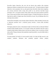 Referatas apie raštą 13 puslapis