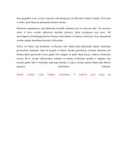 Referatas apie raštą 17 puslapis