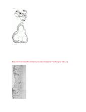 Referatas apie raštą 18 puslapis