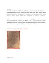 Referatas apie raštą 3 puslapis