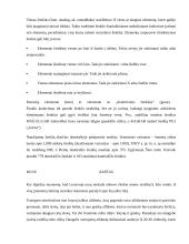 Referatas apie raštą 7 puslapis