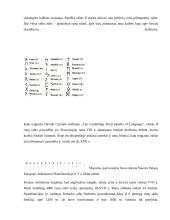 Referatas apie raštą 8 puslapis