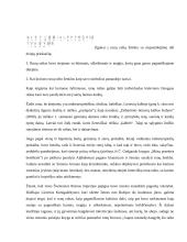 Referatas apie raštą 10 puslapis