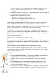 Nervų sistema konspektas 3 puslapis