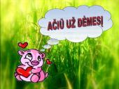 Adomas Mickevičius skaidrės 16 puslapis