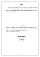 Medienos apdorojimas ir panaudojimas referatas 12 puslapis