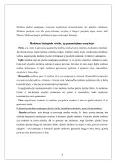 Medienos apdorojimas ir panaudojimas referatas 4 puslapis