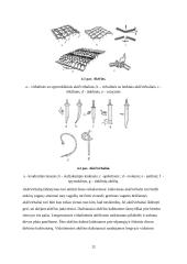 Grūdinių kultūrų priežiūros darbų technologijos ir naudojamos mašinos 12 puslapis