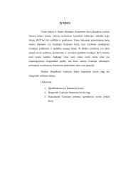 Graikijos šalies finansinė krizė ir jos valdymo būdai 2 puslapis