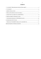 ,,X Lounge“ Išmaniosios poilsio zonos inovacinis verslo planas 3 puslapis