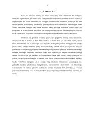 ,,X Lounge“ Išmaniosios poilsio zonos inovacinis verslo planas 5 puslapis