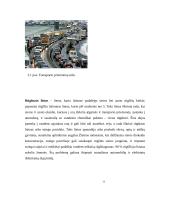 Aplinkos teršimas cheminiais teršalais ir jų poveikis aplinkai 11 puslapis