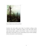 Aplinkos teršimas cheminiais teršalais ir jų poveikis aplinkai 12 puslapis