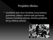 Laisvės kovos 2 puslapis