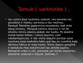 Laisvės kovos 15 puslapis